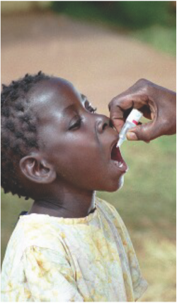 Polio vaccine